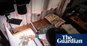 AI and digitisation may help botanists save endangered plants, report says