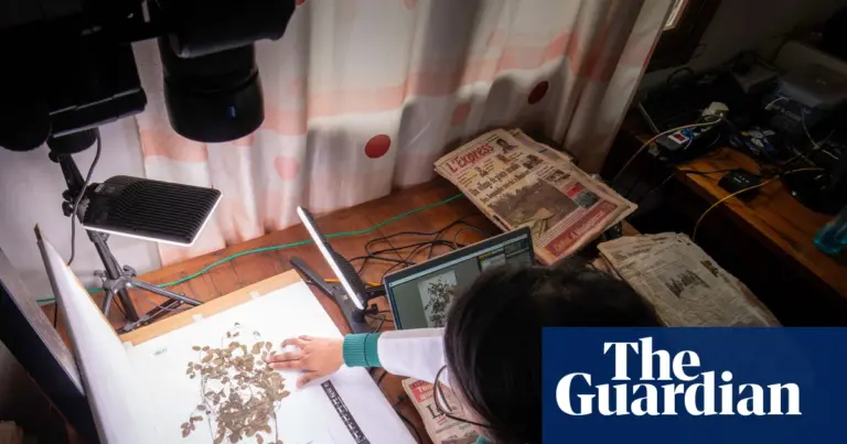 AI and digitisation may help botanists save endangered plants, report says