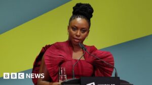 Adichie accuses Lagos hospital of blocking son's death inquest