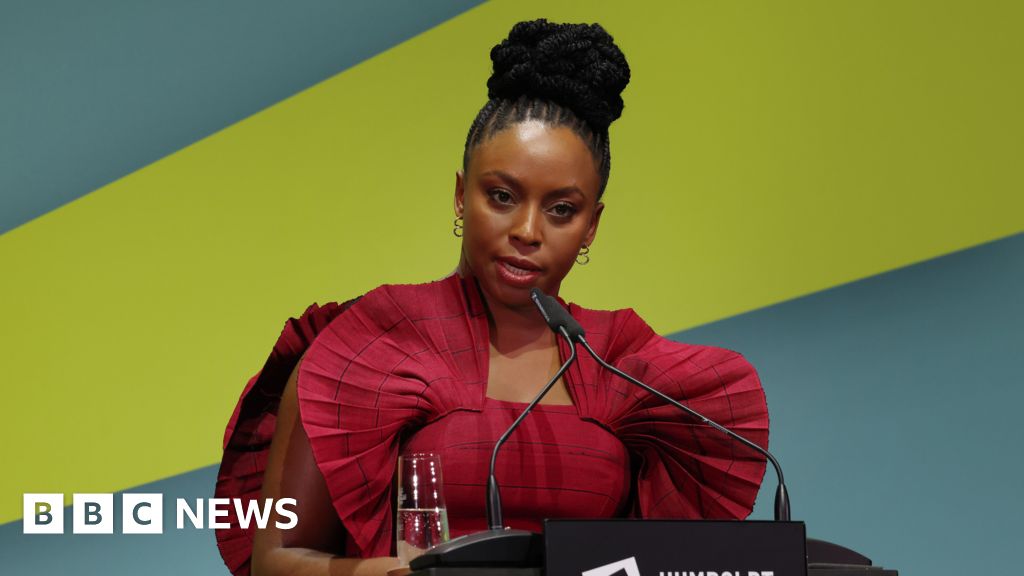 Adichie accuses Lagos hospital of blocking son's death inquest