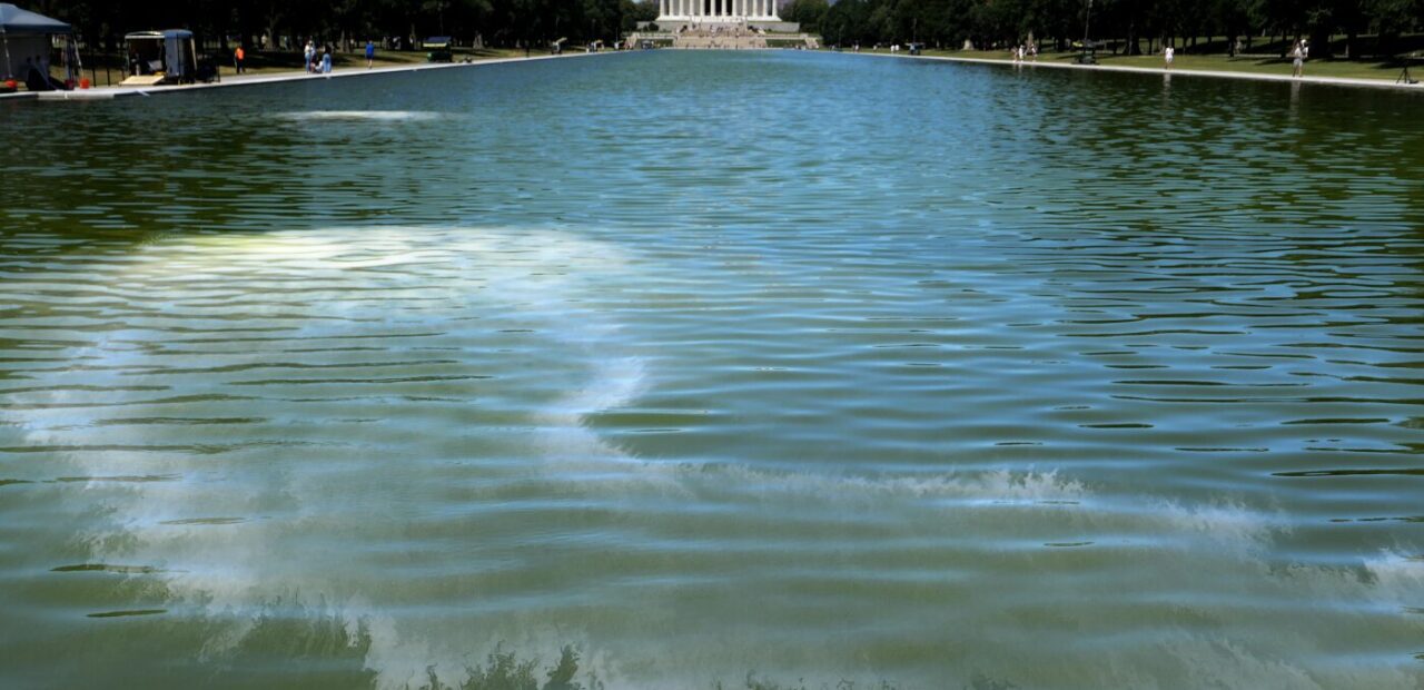 Algae blooms in DC Reflecting Pool after renovation, experts say not surprising