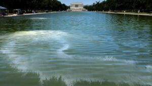 Algae blooms in DC Reflecting Pool after renovation, experts say not surprising