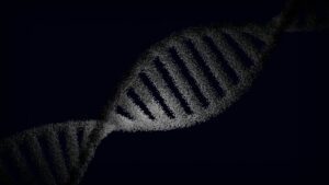 Ancient DNA reveals earliest known plague outbreak in Siberia