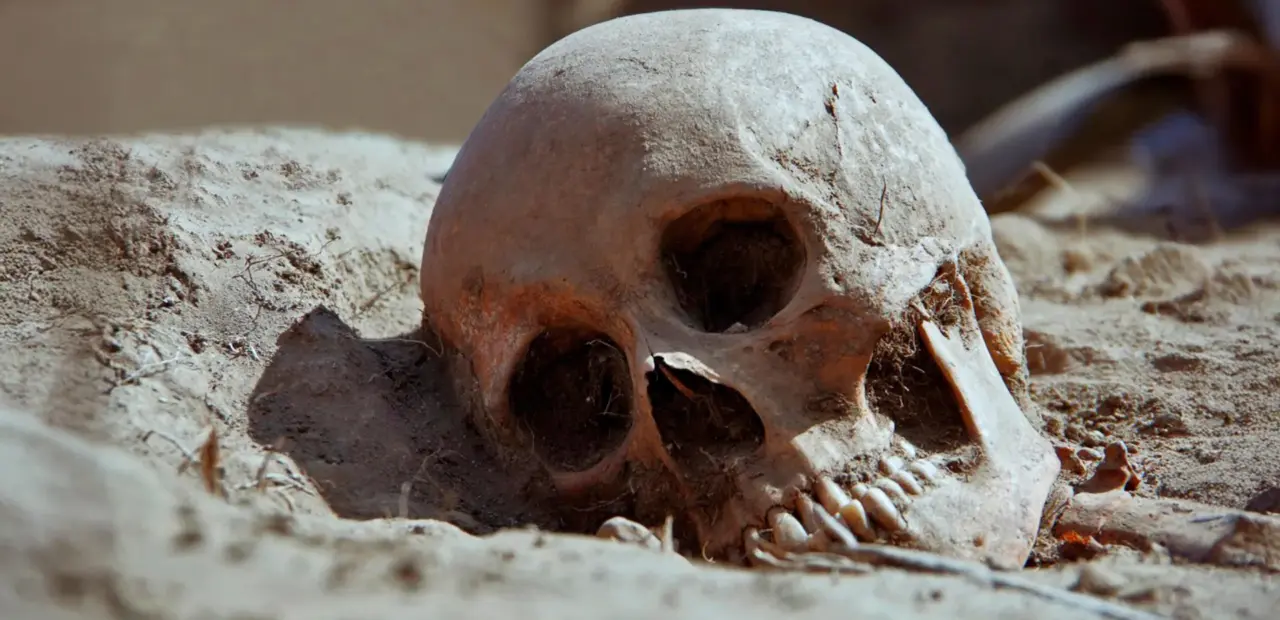 Ancient DNA shows plague killed Siberian hunter-gatherers 5,500 years ago