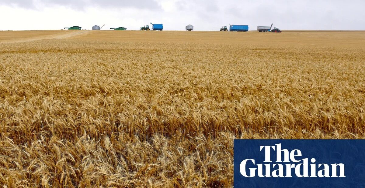 Australia keeps paraquat legal despite Parkinson's concerns