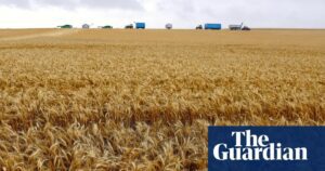 Australia keeps paraquat legal despite Parkinson's concerns