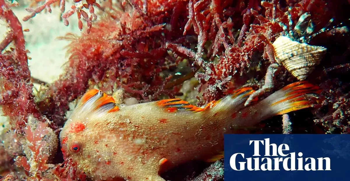 Beaker Street science photography prize finalists announced