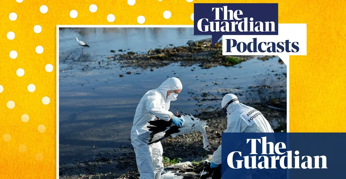 Bird flu concerns examined in podcast