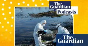 Bird flu concerns examined in podcast