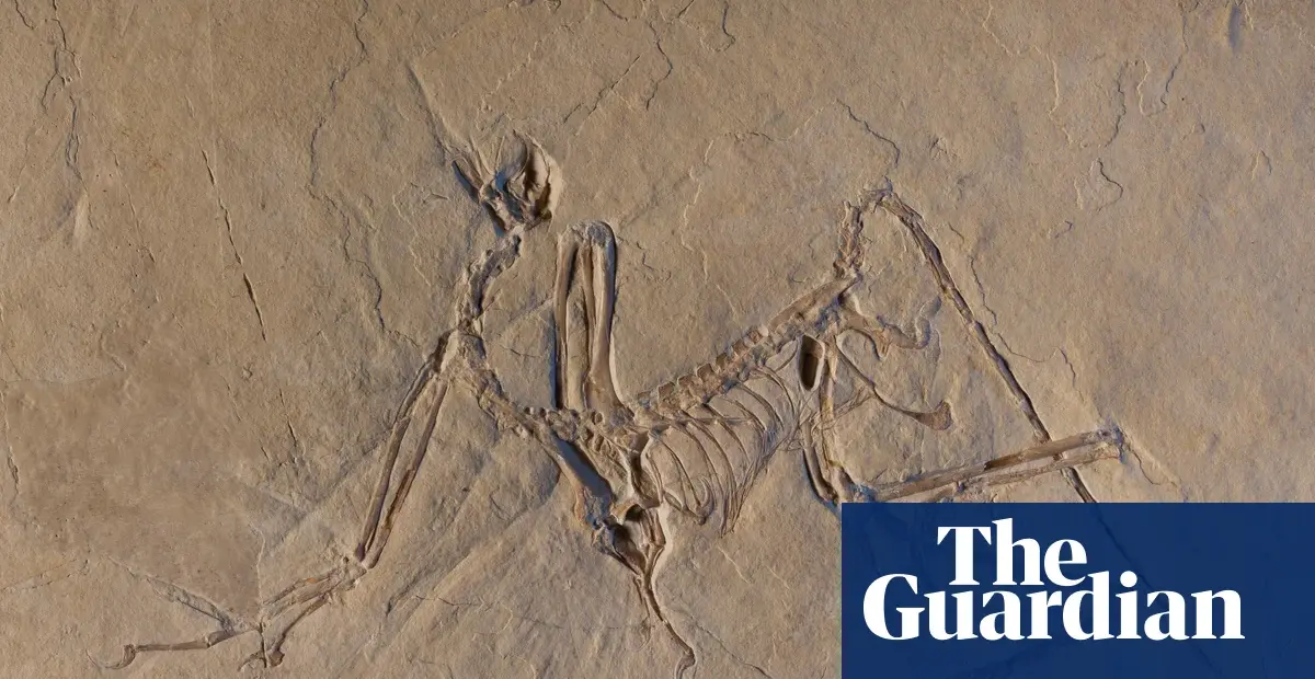 Birds Survived Asteroid That Killed Other Dinosaurs, Book Says