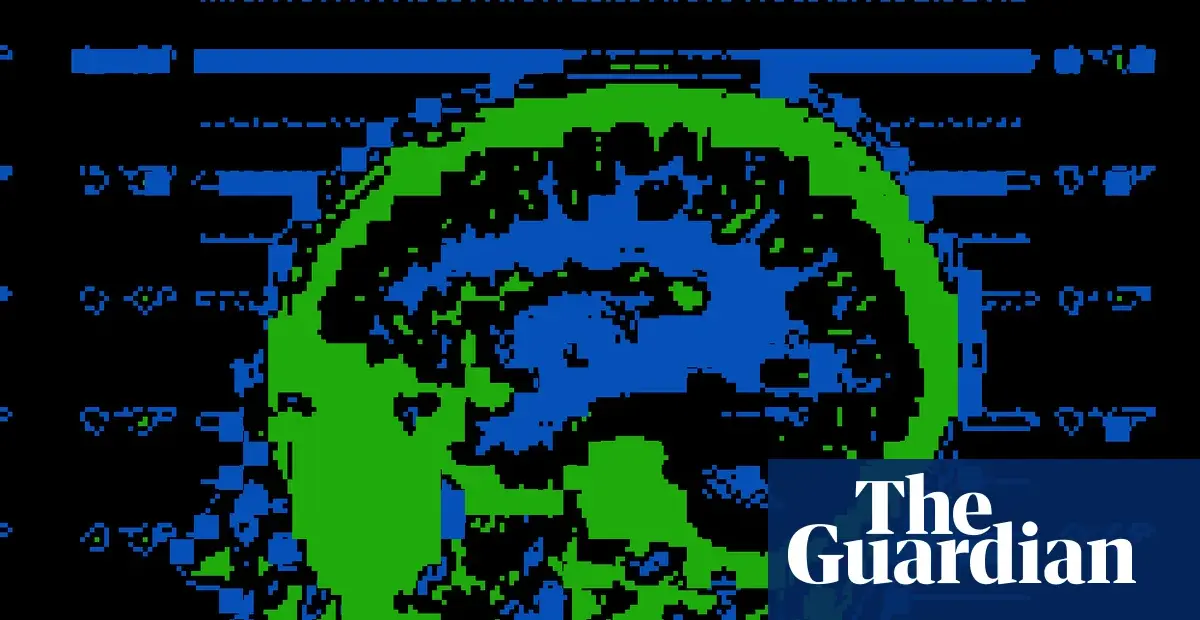 Brain scan evidence in US courts examined through disputed research