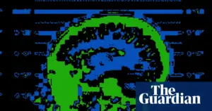 Brain scan evidence in US courts examined through disputed research