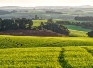Brazil’s agricultural potential highlighted in bullish economic analysis
