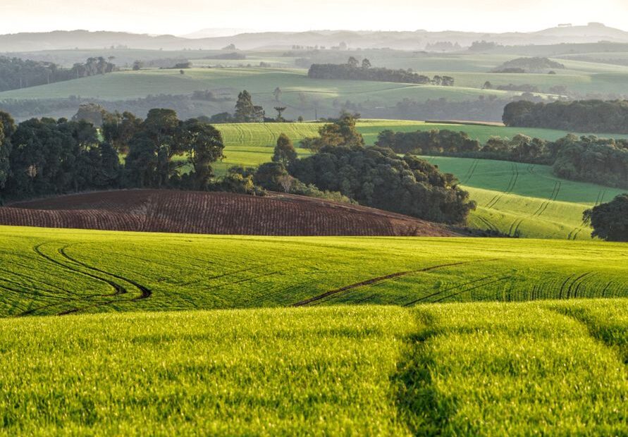 Brazil's agricultural potential highlighted in bullish economic analysis