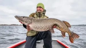 Browning Lakes Linked to Shifts in Fish Populations, Study Finds