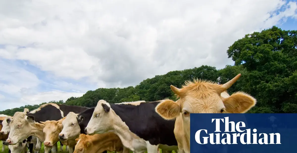 Cows on tracks disrupt UK's busiest intercity rail line