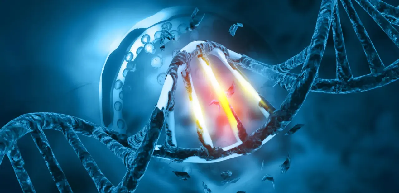 EXO1 gene overproduction may reveal cancer treatment target