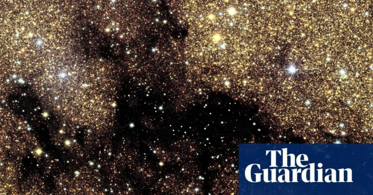 Euclid telescope captures largest image of Milky Way's galactic bulge