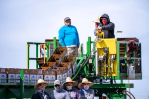 Farm workers face high risk in US south-west screwworm outbreak