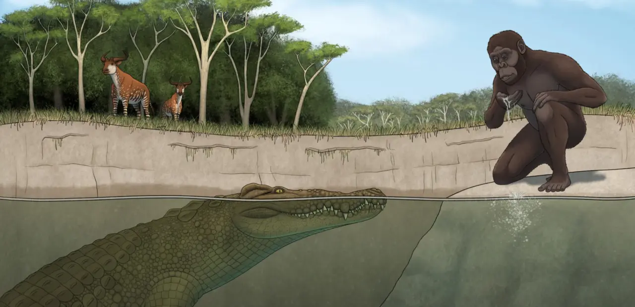 Giant crocodile species from Lucy's era identified by researchers