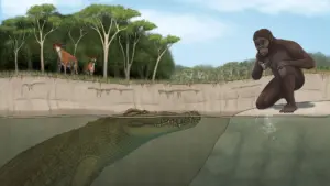 Giant crocodile species from Lucy's era identified by researchers