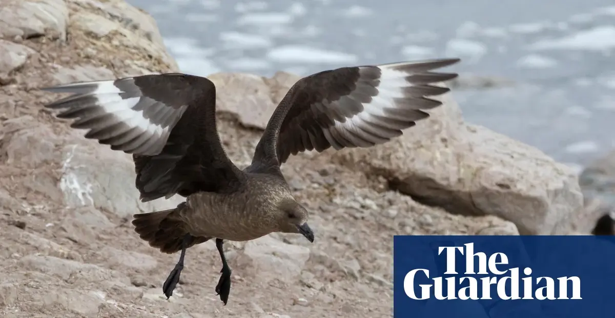 H5 Bird Flu Confirmed on Australian Mainland for First Time