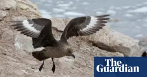 H5 Bird Flu Confirmed on Australian Mainland for First Time