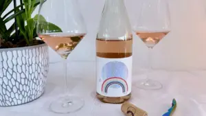 Hollywood Wine Insiders Recommend Top Rosé Bottles for Summer