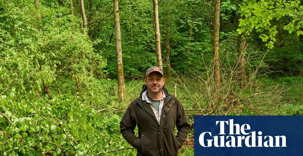 Investment fund backs rewilding project on North Yorkshire estate