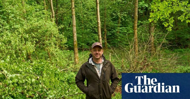 Investment fund backs rewilding project on North Yorkshire estate
