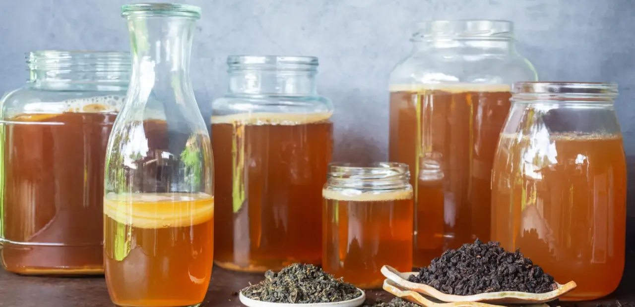 Kombucha’s tea type alters flavor, chemistry, and antioxidant activity, study finds