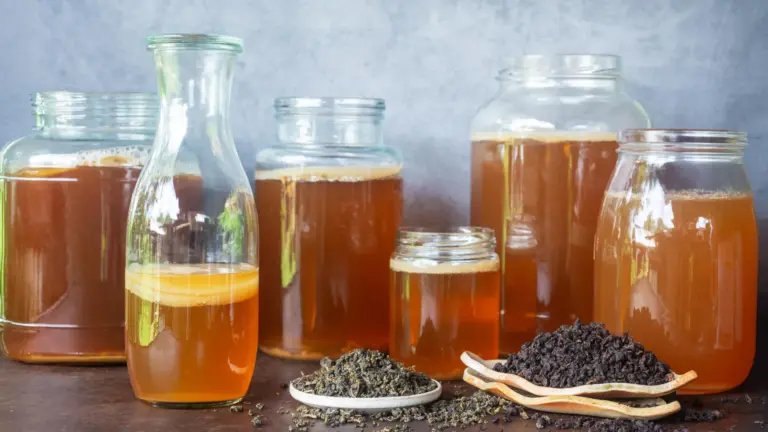 Kombucha’s tea type alters flavor, chemistry, and antioxidant activity, study finds