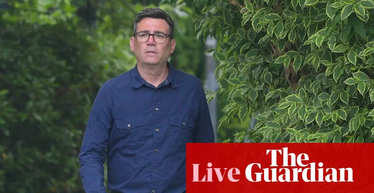 Labour MP urges Burnham to launch leadership bid quickly after byelection