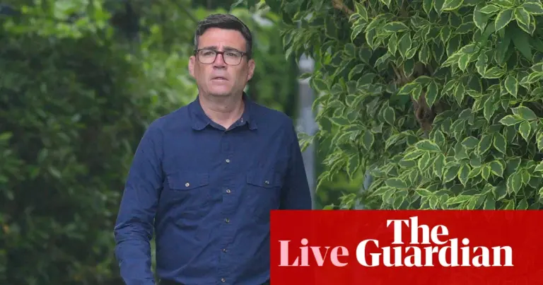 Labour MP urges Burnham to launch leadership bid quickly after byelection