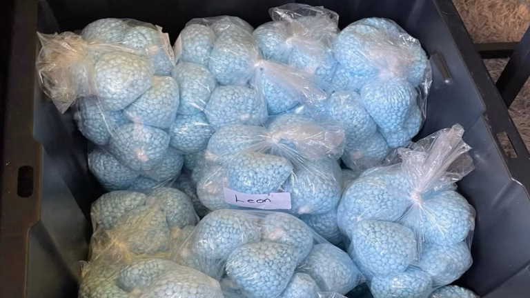 New Mexico governor seeks criminal probe of DEA over fentanyl strategy