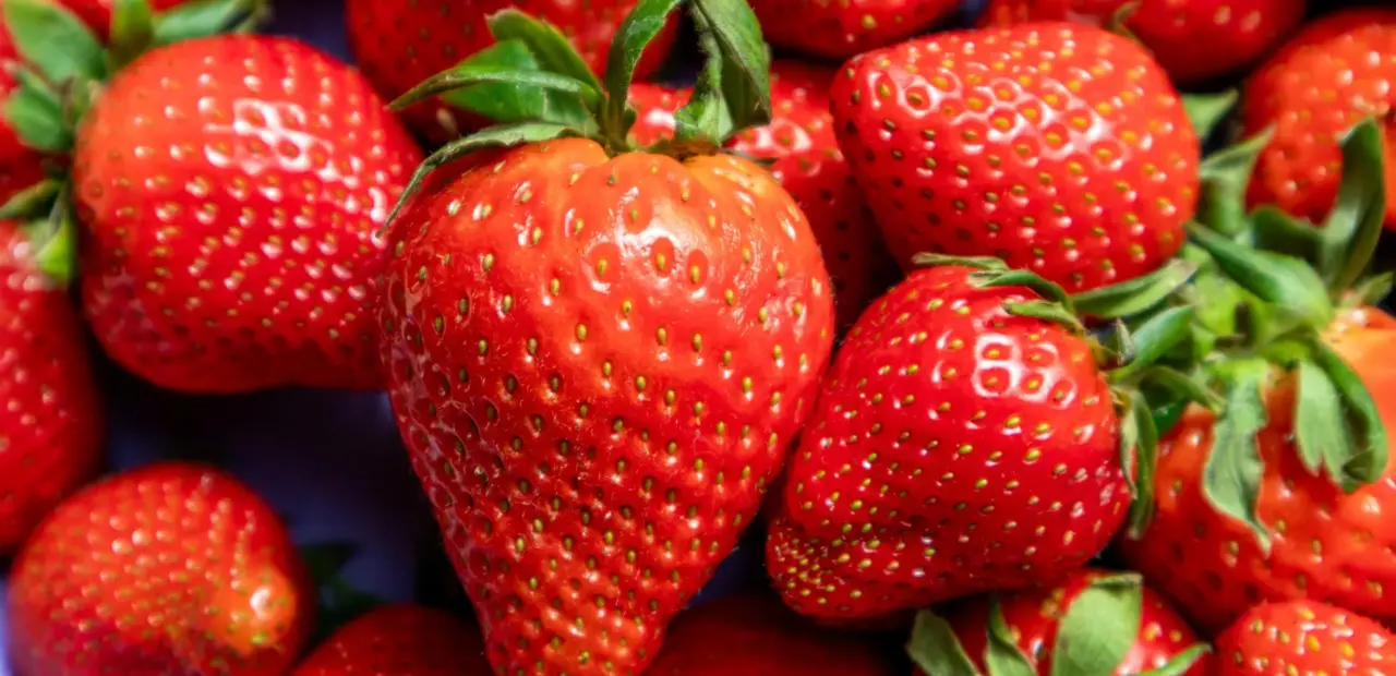 New method traces strawberry genome evolution through DNA time stamps