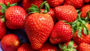 New method traces strawberry genome evolution through DNA time stamps