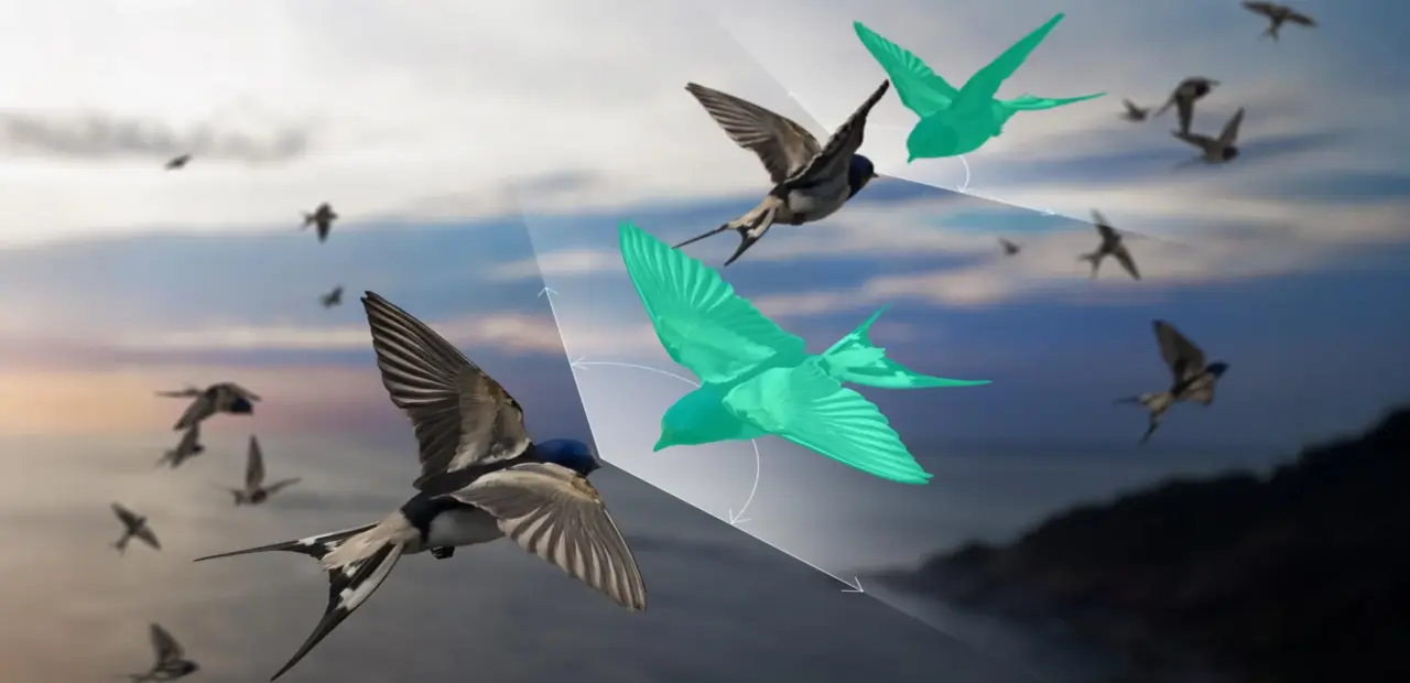 Physicists solve bird flock modeling problem with imaginary partners