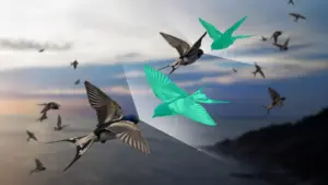 Physicists solve bird flock modeling problem with imaginary partners