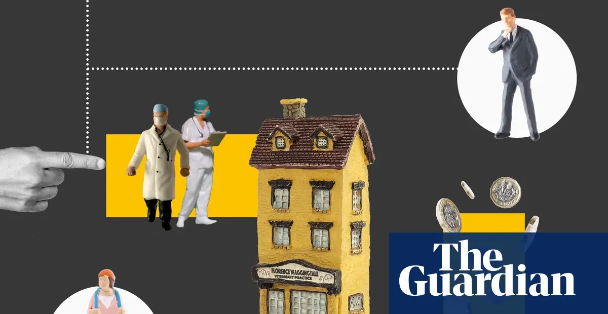 Private equity's role in UK veterinary sector examined in new visual explainer