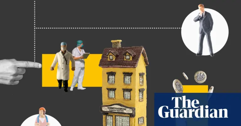Private equity's role in UK veterinary sector examined in new visual explainer
