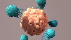 Protein NFIL3 May Limit Effectiveness of CAR T Cancer Therapy