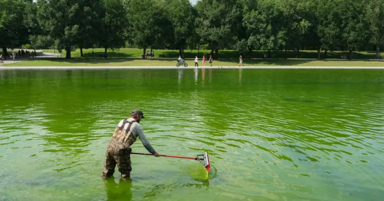 Reflecting Pool Algae Bloom Leads to Arrests, Trump Blames Vandals