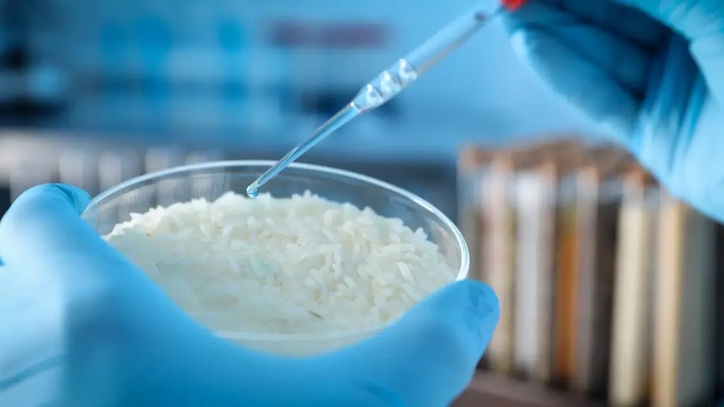 Rice grain behavior inspires new smart material, scientists report