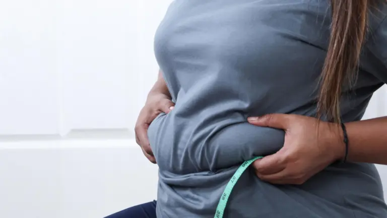 Scientists identify stem cell that drives age-related belly fat