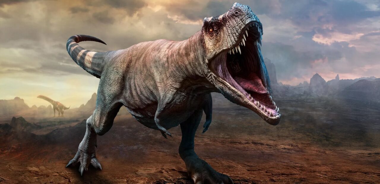 Study: T. rex took 40 years to reach full size