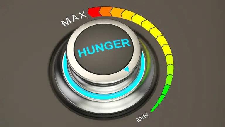 Study finds fructose and glucose affect hunger neurons differently
