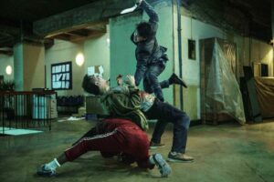 ‘The Furious’ Review: Martial Arts Film Praised for Choreography, Criticized for Dialogue