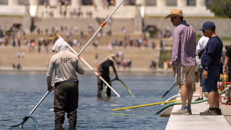 Trump says vandals damaged Reflecting Pool, plans to drain it