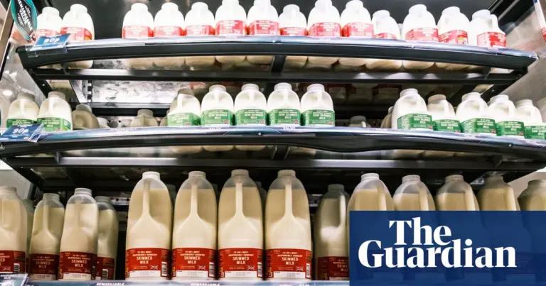 UK inflation holds at 2.8% in May as food price slowdown offsets transport rises
